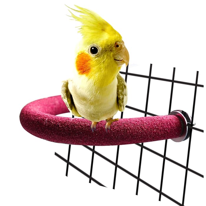 Buy Rypet Parrot Perch Roughsurfaced Quartz Sands Bird Cage Perches
