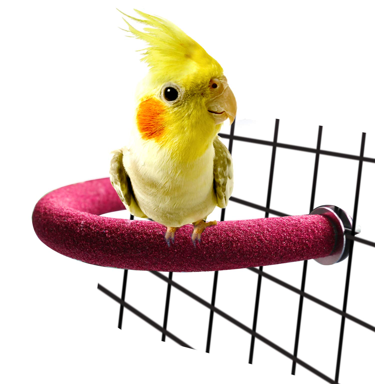 Buy Rypet Parrot Perch Roughsurfaced Quartz Sands Bird Cage Perches