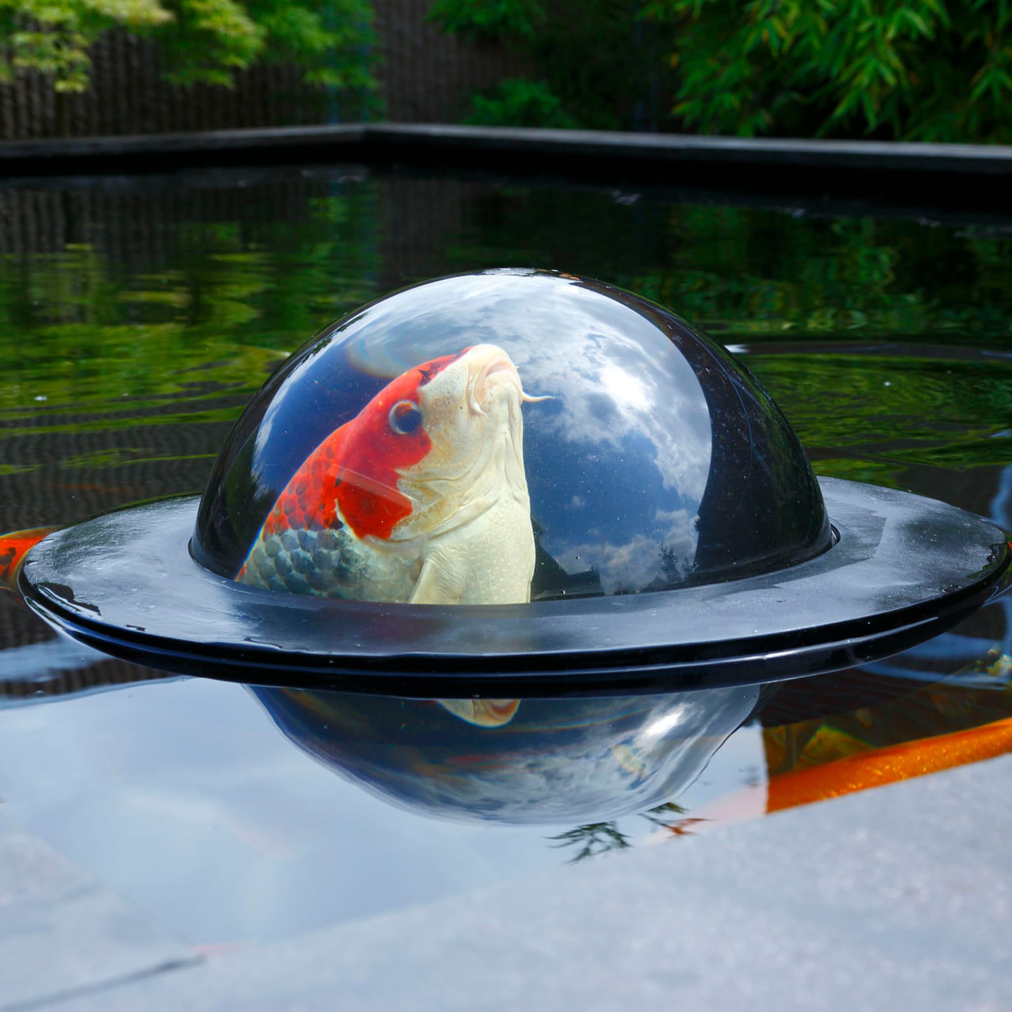 Velda 123503 Plexiglas-Kuppel zum Beobachten von Teichfischen, Ø 35 cm, Floating Fish Dome M