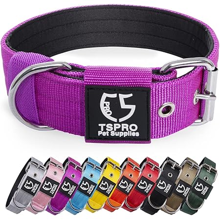Taktisches Hundehalsband XL 45-65cm - Robust Für Große Hunde