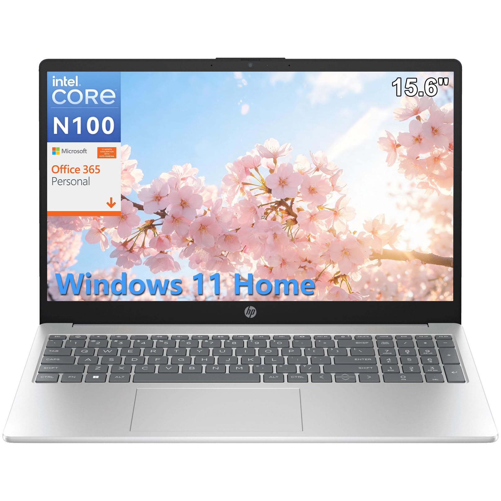 HP Laptop Intel N100 16GB RAM
