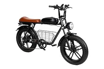 電動自転車　houpet 美品　難有り Amazon | Houpet 電動アシスト自転車 レトロ調 20インチ 極太