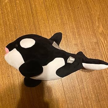 Amazon.co.jp: 神戸須磨シーワールド オルカくじ 3等シャチ