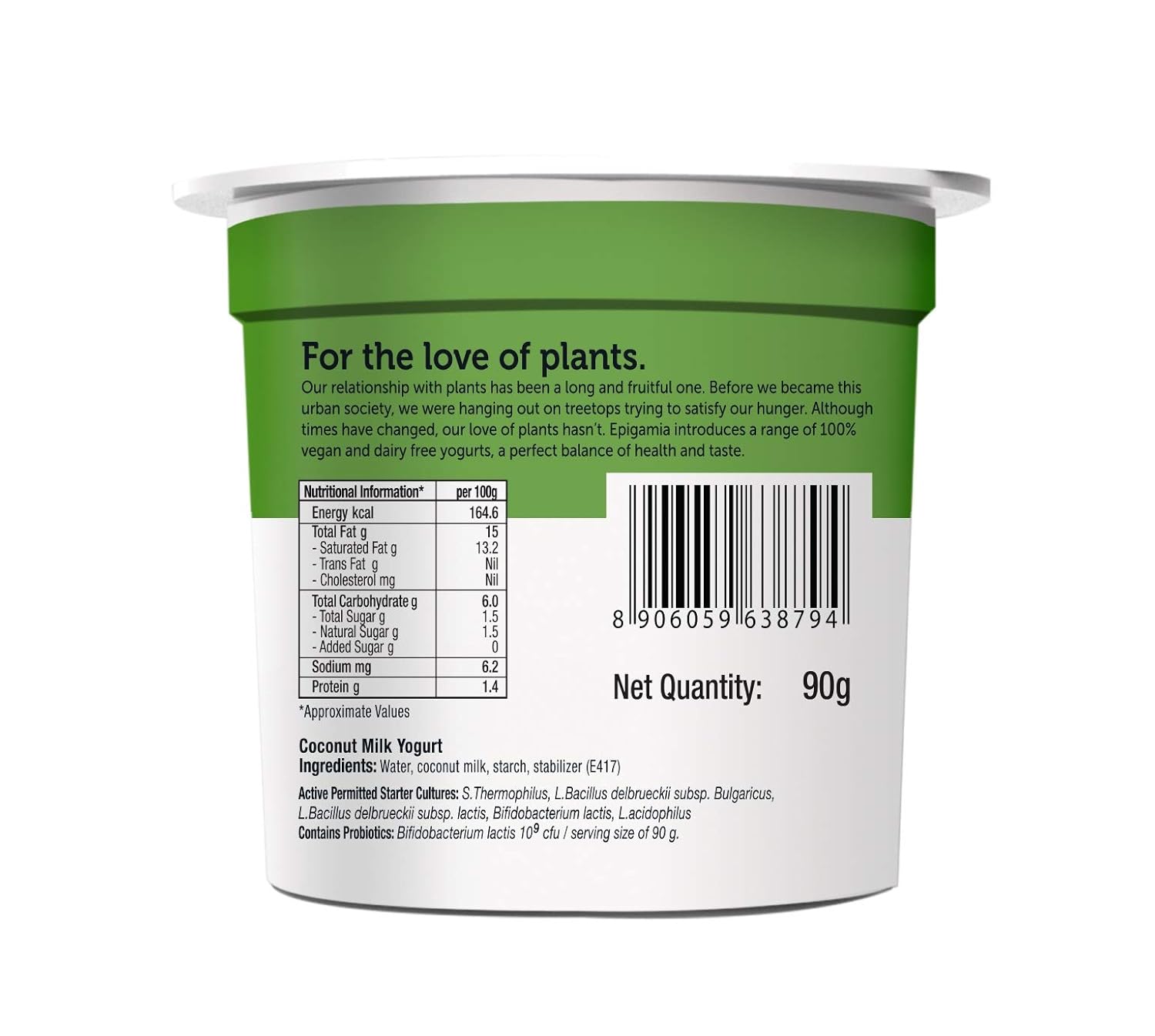 Epigamia Plant Based Coconut Blend Unsweetened 90 G Amazon In Grocery Gourmet Foods