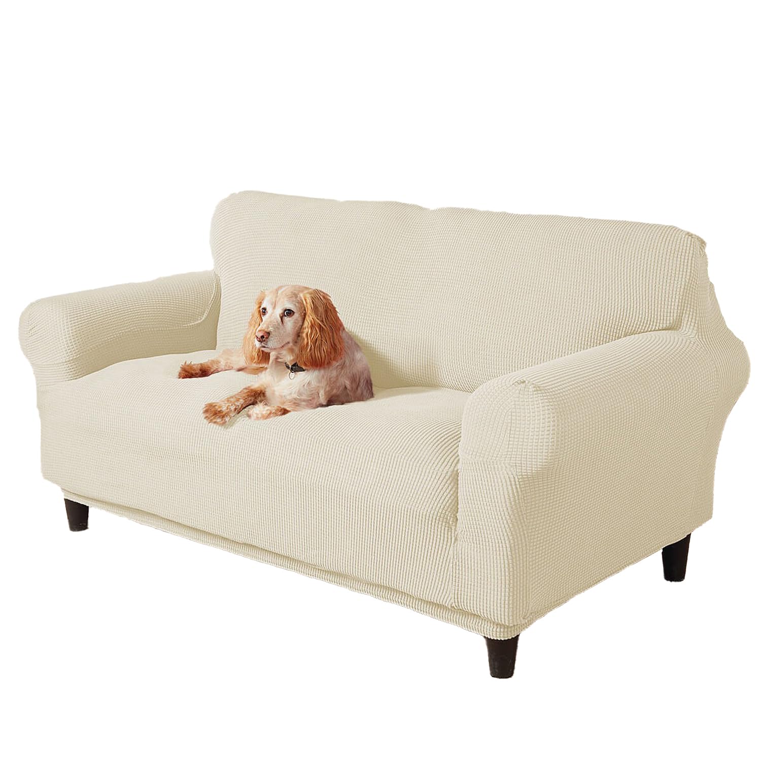Stretch Sofa CoverProtects From Stains & PetsSnug FitEasy To WashStretch Polyester2-Seater (140-170Cm)Cream from B&Q