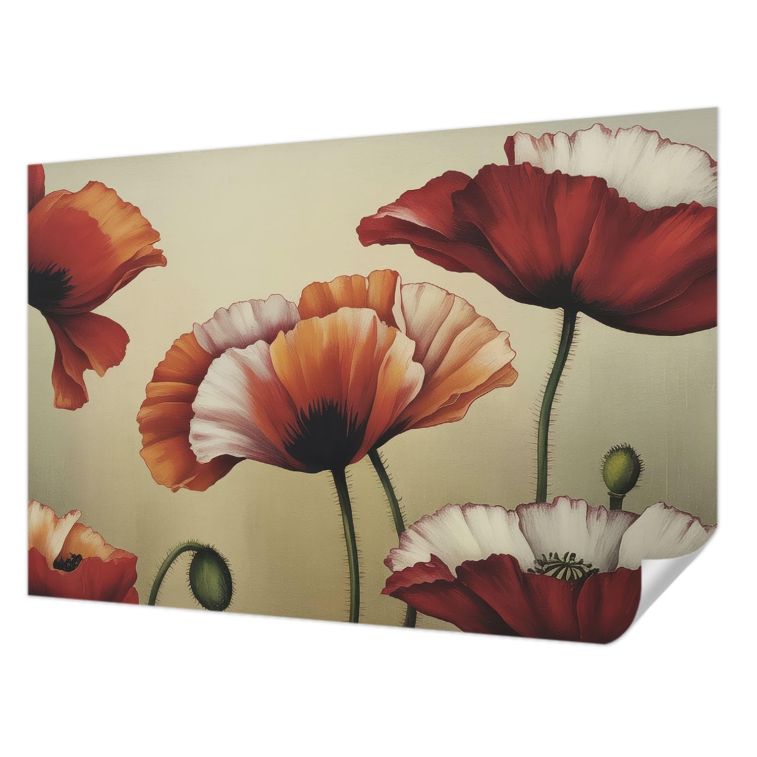 Papier peint photo autocollant anti-tache coquelicots joyeux, rénovation murale facile 104x70