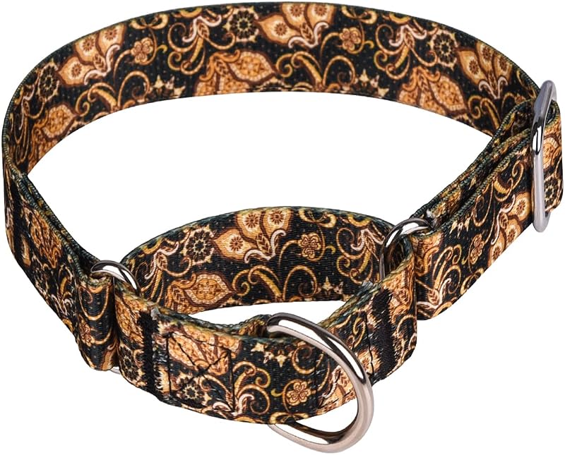 Coleira Martingale para Cães com Estampa Floral Colorida, Ajustável e Macia Bbmmayy, 2,5 cm, M (36–45 cm), Gold