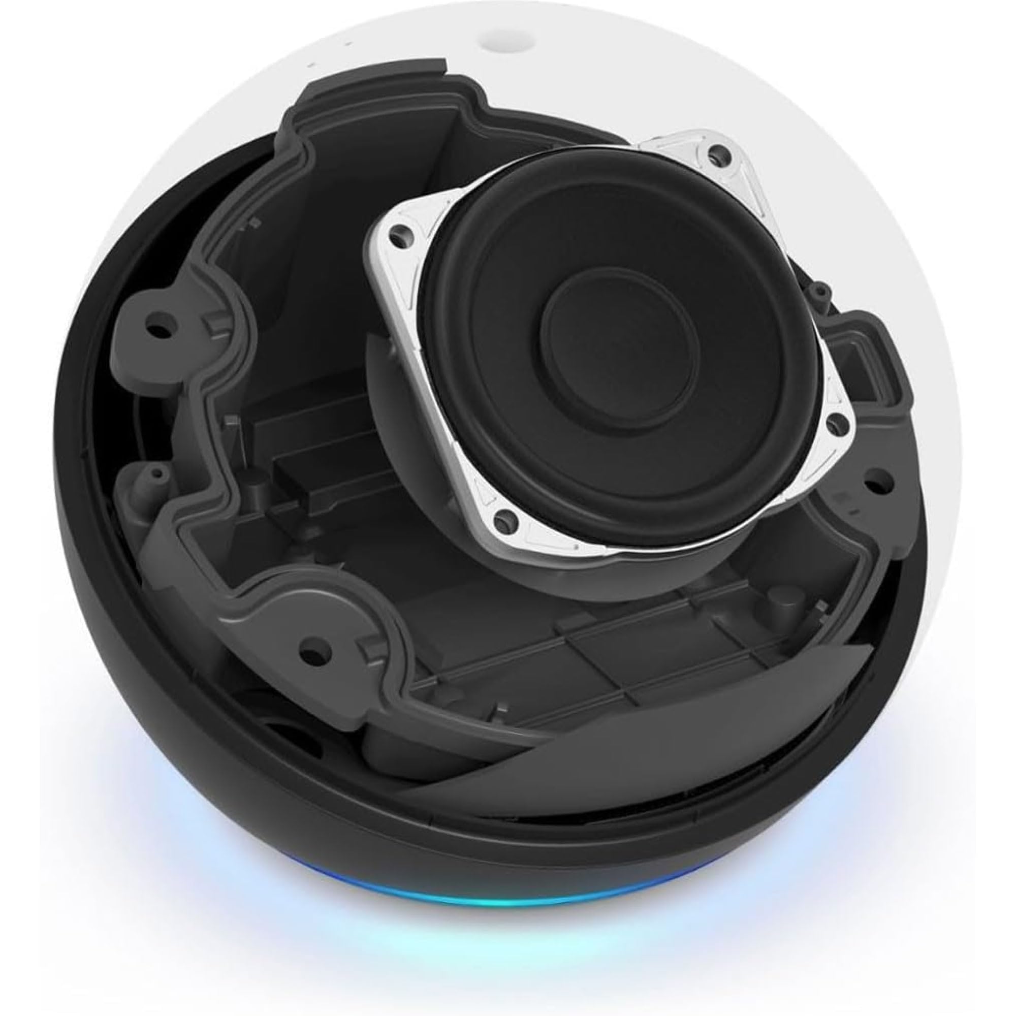 Echo Dot (5ª generazione) | Antracite + TP-Link Tapo Presa intelligente, compatibile con Alexa - Kit di base per Casa Intelligente