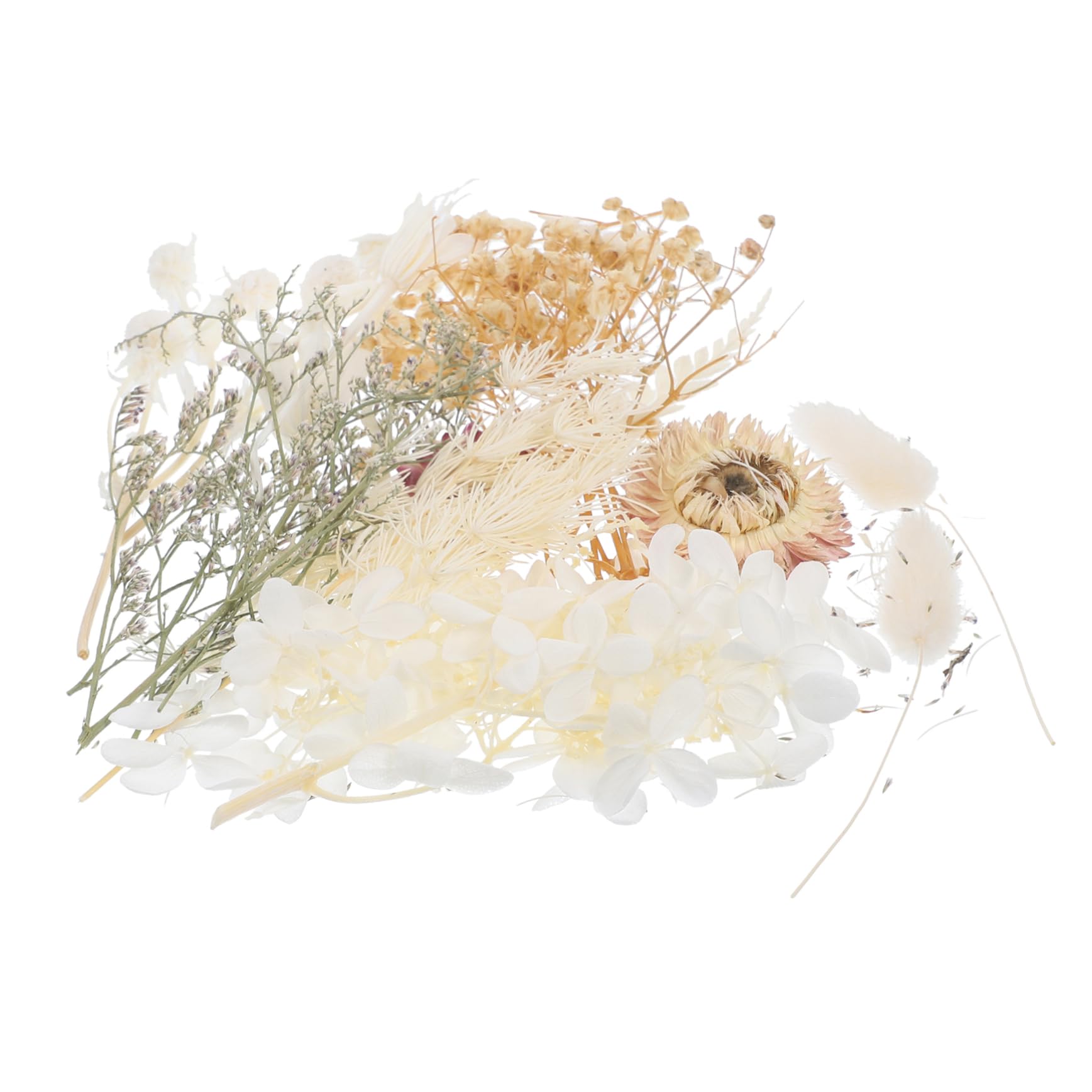 STOBAZA 5sätze Dried Pressed Flowers Für Resin Craft Echte Trockenblumen Für Kerzenherstellung Handyhüllen Karten Und Mehr Leicht Und Pflegeleicht Für Kreative Projekte