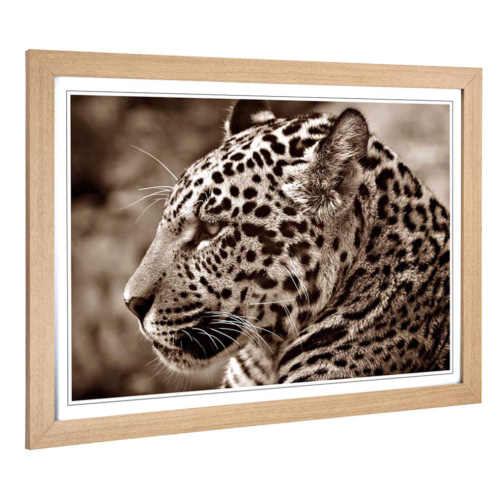 Big Box Art Framed Print of Jaguar Design | Wall Art Picture | Home Decor for Kitchen, Living, Dining Room, Lounge, Bedroom, Hallway, Office, Oak, A2 / 24.5x18 Inch / 62x45cm