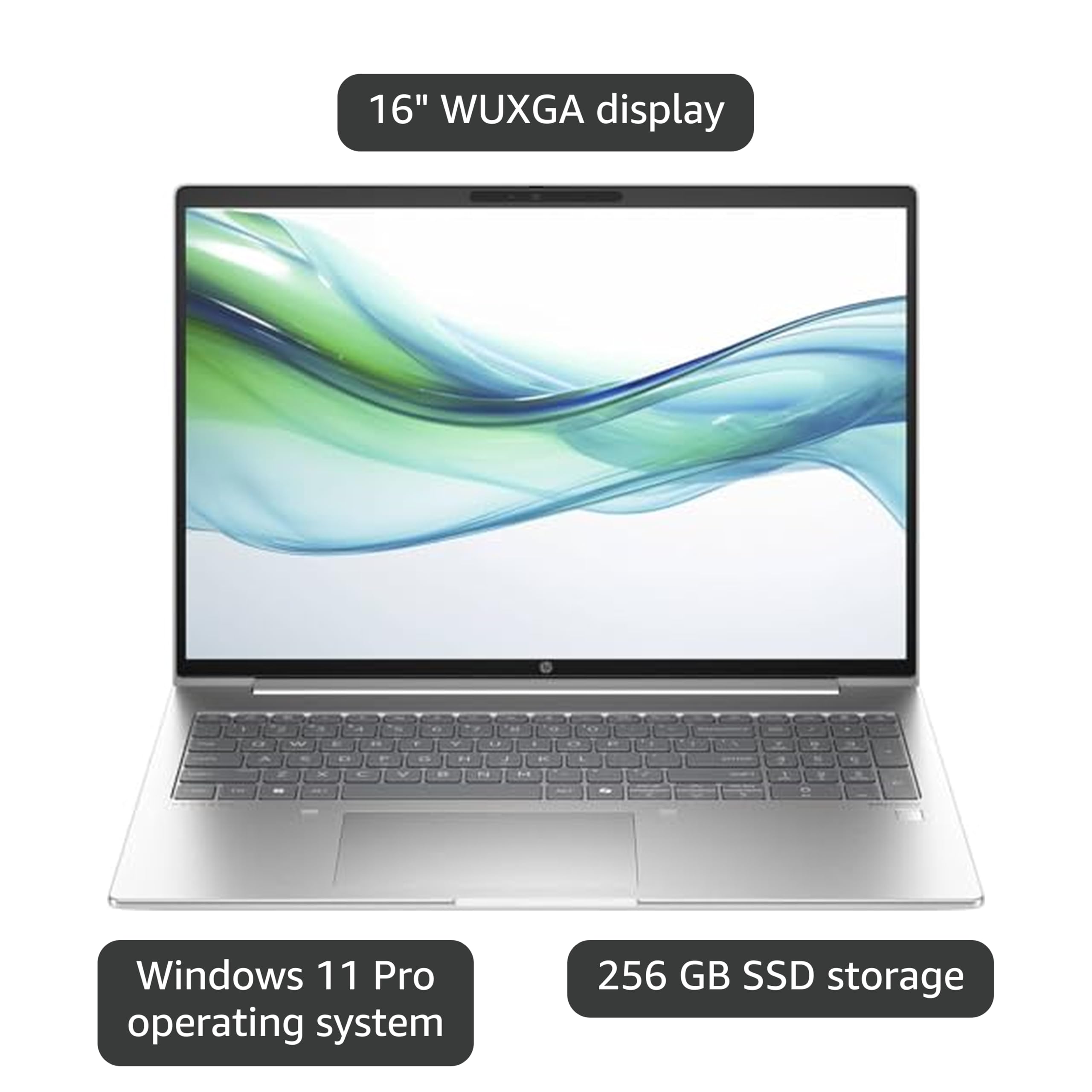 Amazon.com: HP ProBook 465 G11 16
