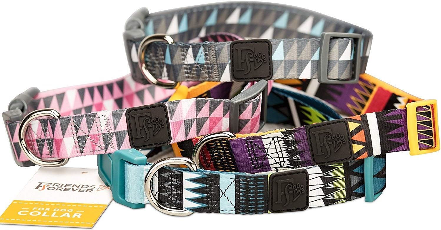 Friends Forever Dog Collar with Pattern Design Nylon Adjustable (Medium, Tribal Teal)