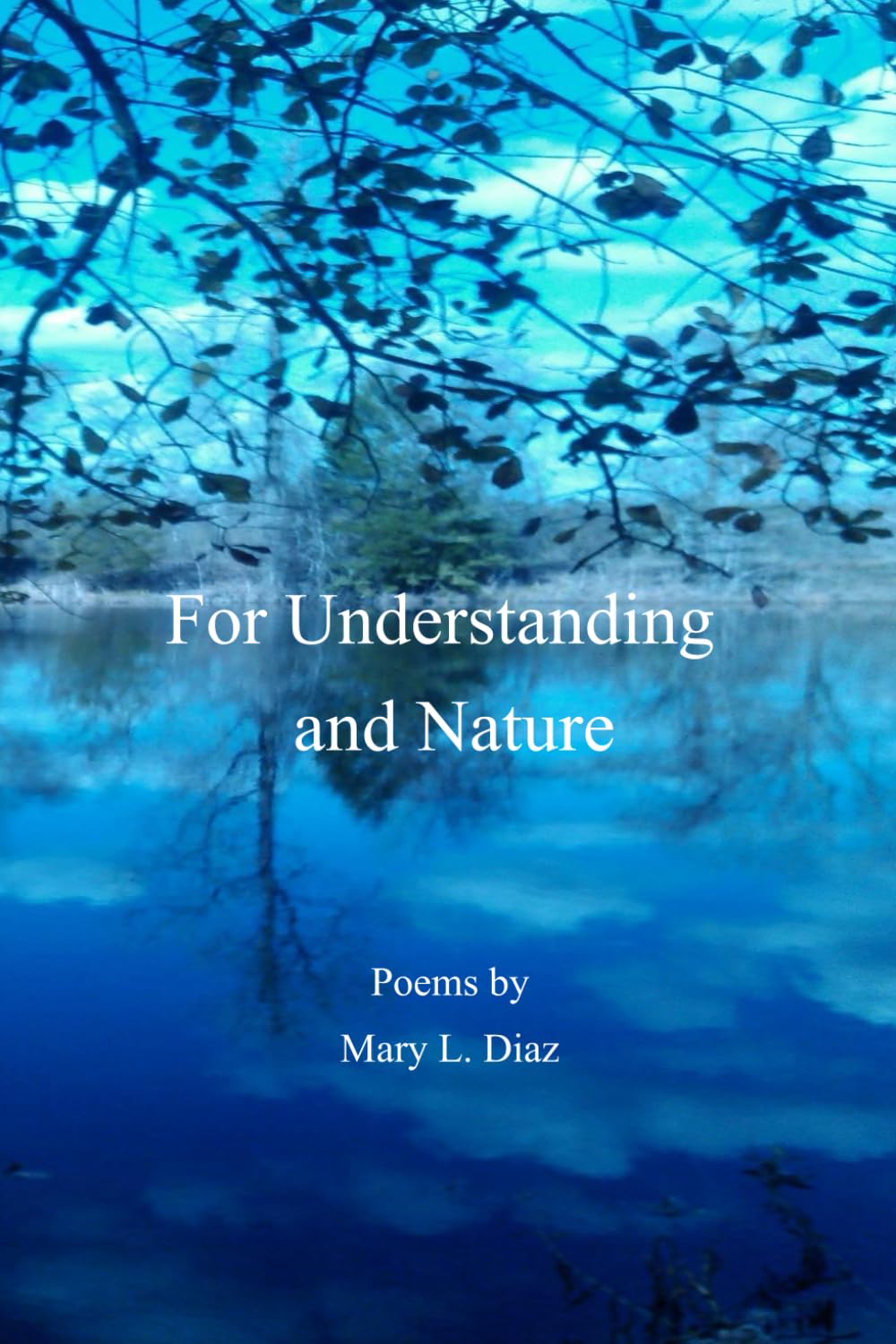 For Understanding and Nature