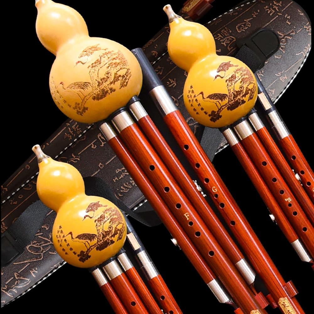 Hulusi Flûte professionnelle en forme de cucurbitacée en bois rouge double ton F+G Touche Bb+C Clé D+C mineure avec nœud chinois
