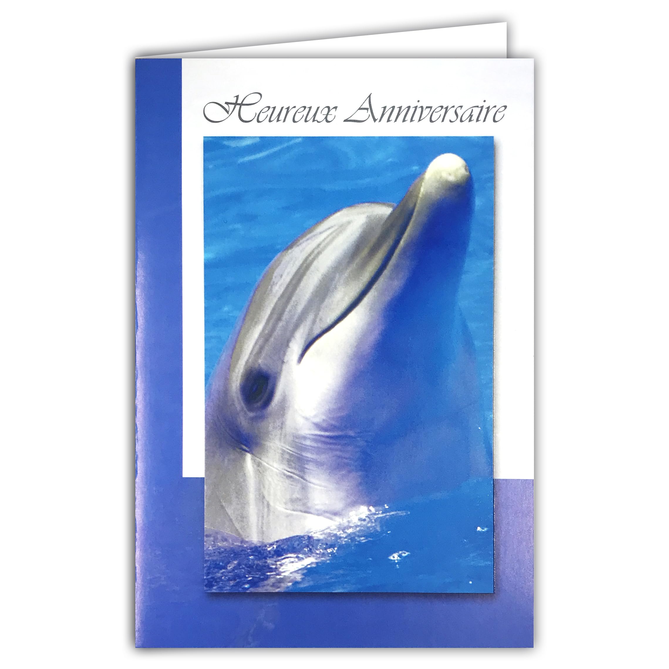 C1050/1 Happy Birthday Card with Beige Envelope – Smiling Dolphin Taking Its Head Out of the Blue Turquoise Sea Ocean – Card that Opens on a White Interior to Write Your Message