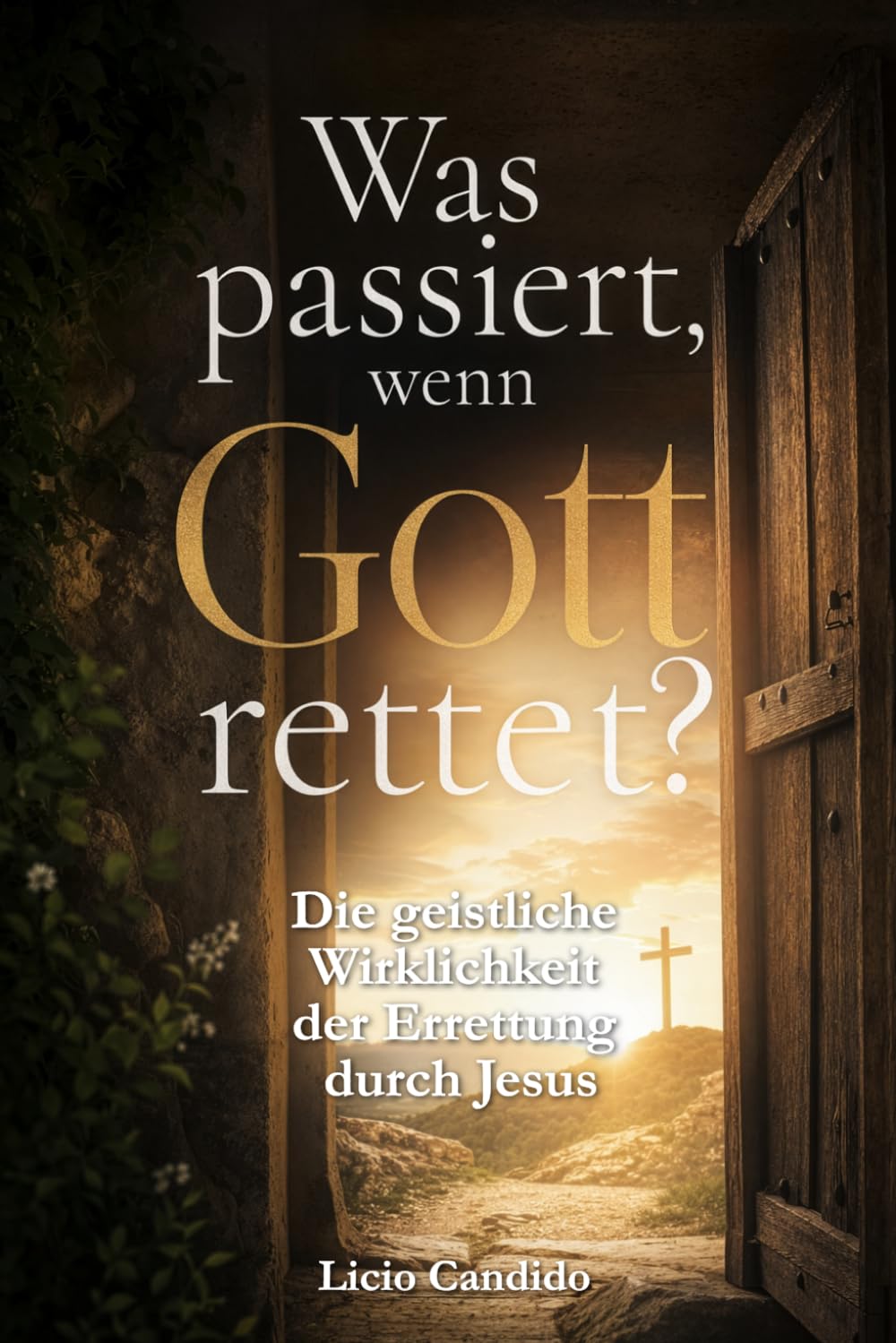 Was passiert, wenn Gott rettet?: Die geistliche Wirklichkeit der Errettung durch Jesus