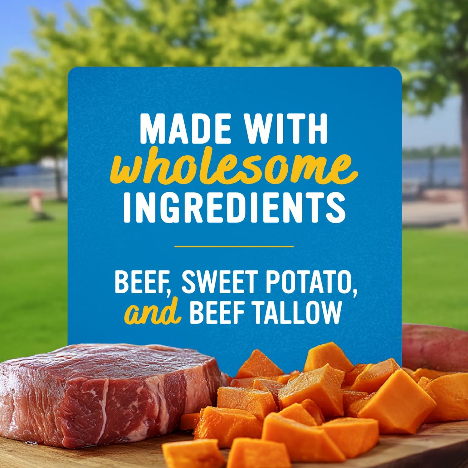 Blue Dog Bakery Perfect Trainers, Mini Dog Training Treats, Soft & Chewy, Made w/USA Beef, Healthy Treats, All Natural, Extra Small, 6 oz (Pack of 1) - image 7