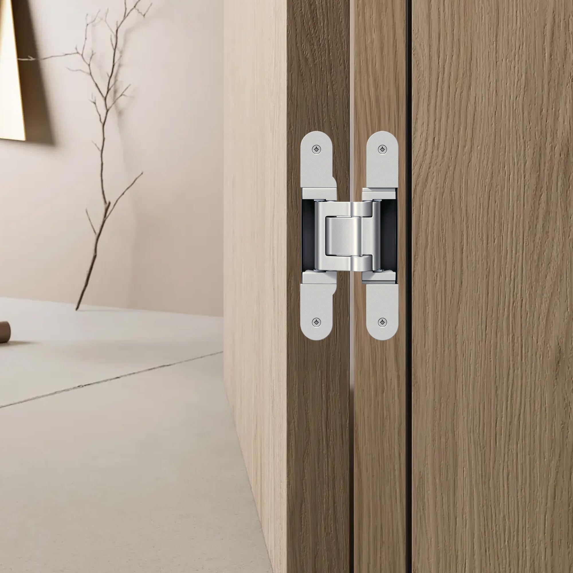 Brixwell QHVY-008 Concealed Hinge, TECTUS TE 541 3D Stainless Steel Finish