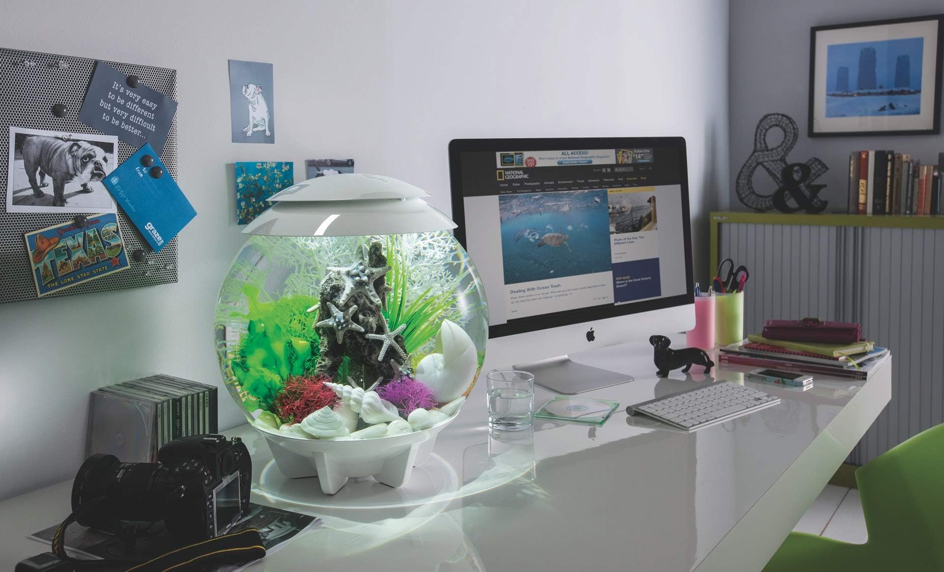 biOrb HALO 30 White, Complete Globe Fish Tank 30 L, LED Light and 3D Effect