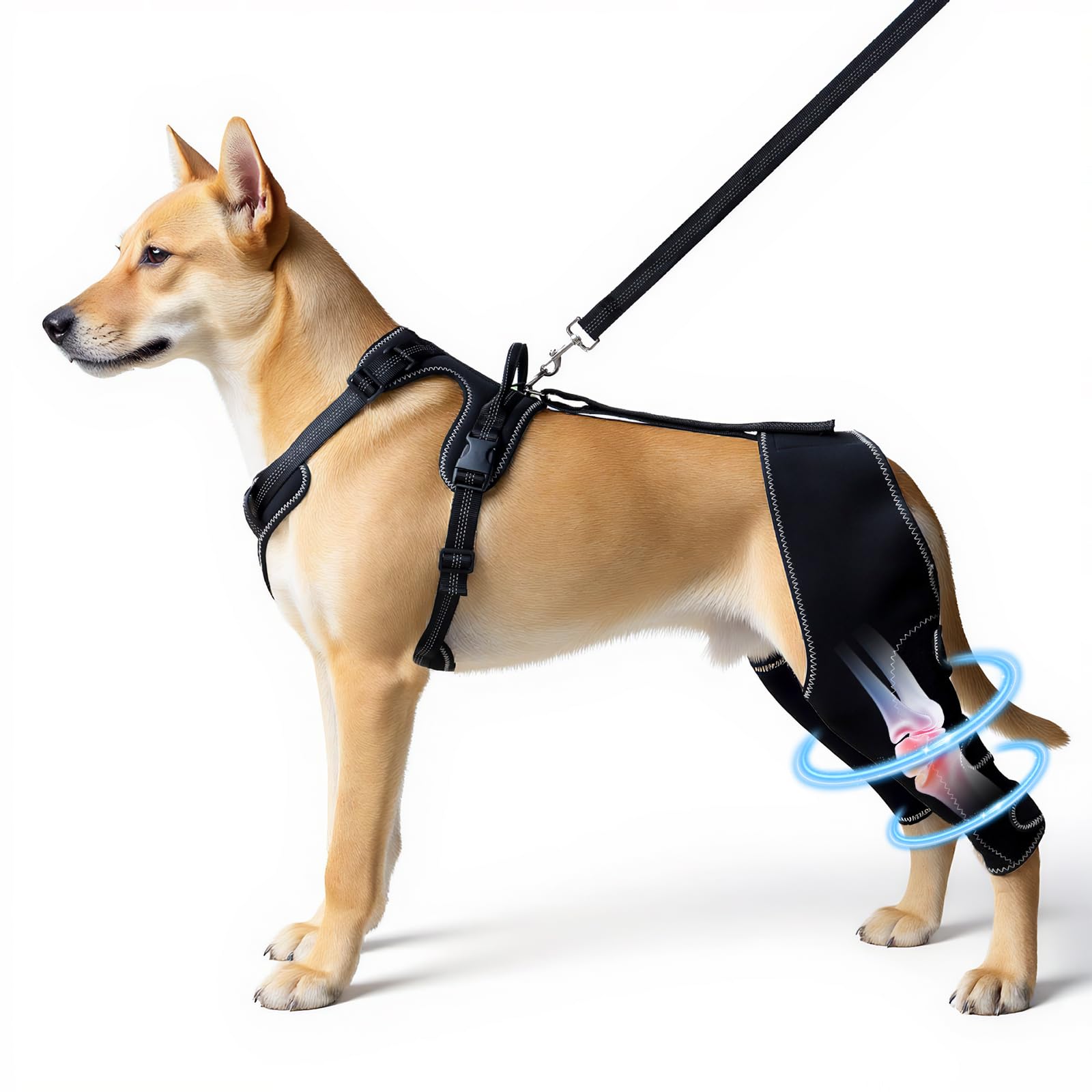 Crlvlyn Dog Knee Brace for Hind Leg Dog Hind Leg Support Protector for Torn ACL Injuries Keeps Joints Warm and Stable