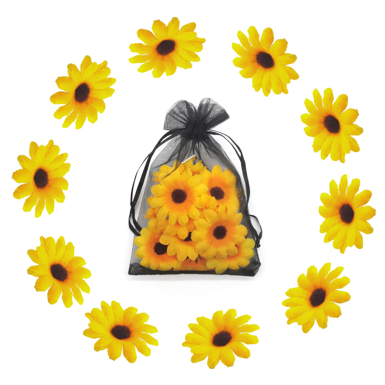 Margherite Tra I Capelli | Favole E Fantasia