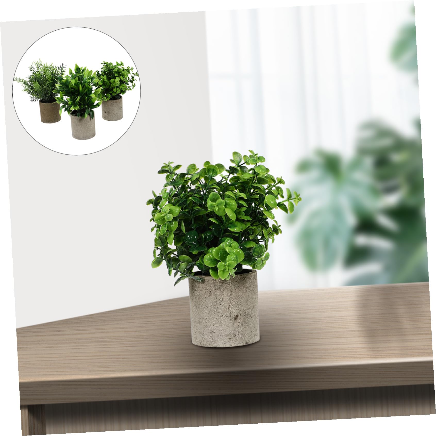 Ciieeo 3pezzi Piante Artificiali Eucalipto e Rosmarino Per Decorazione Scrivania Vividità e Stile Per Casa e Ufficio Senza Manutenzione Necessaria