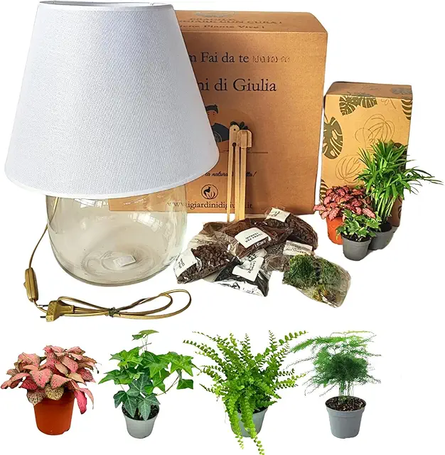 Kit Terrario Fai da Te con Lampada - Giardini di Giulia - Vaso Vetro e Piante
