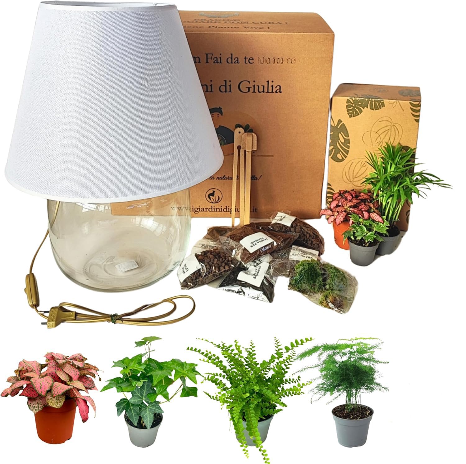 Kit Terrarium Lamparium e Piante Verdi | Vaso in Vetro con Paralume Incluso | Include Substrati, Accessori e Terrario Fai-da-Te