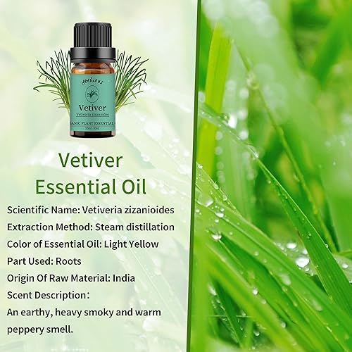 Miniatura 31 de yethious Aceite esencial de vainilla para difusor, aceite esencial de lavanda de vainilla orgánica, aceite de lavanda, aceites de aromaterapia 100%