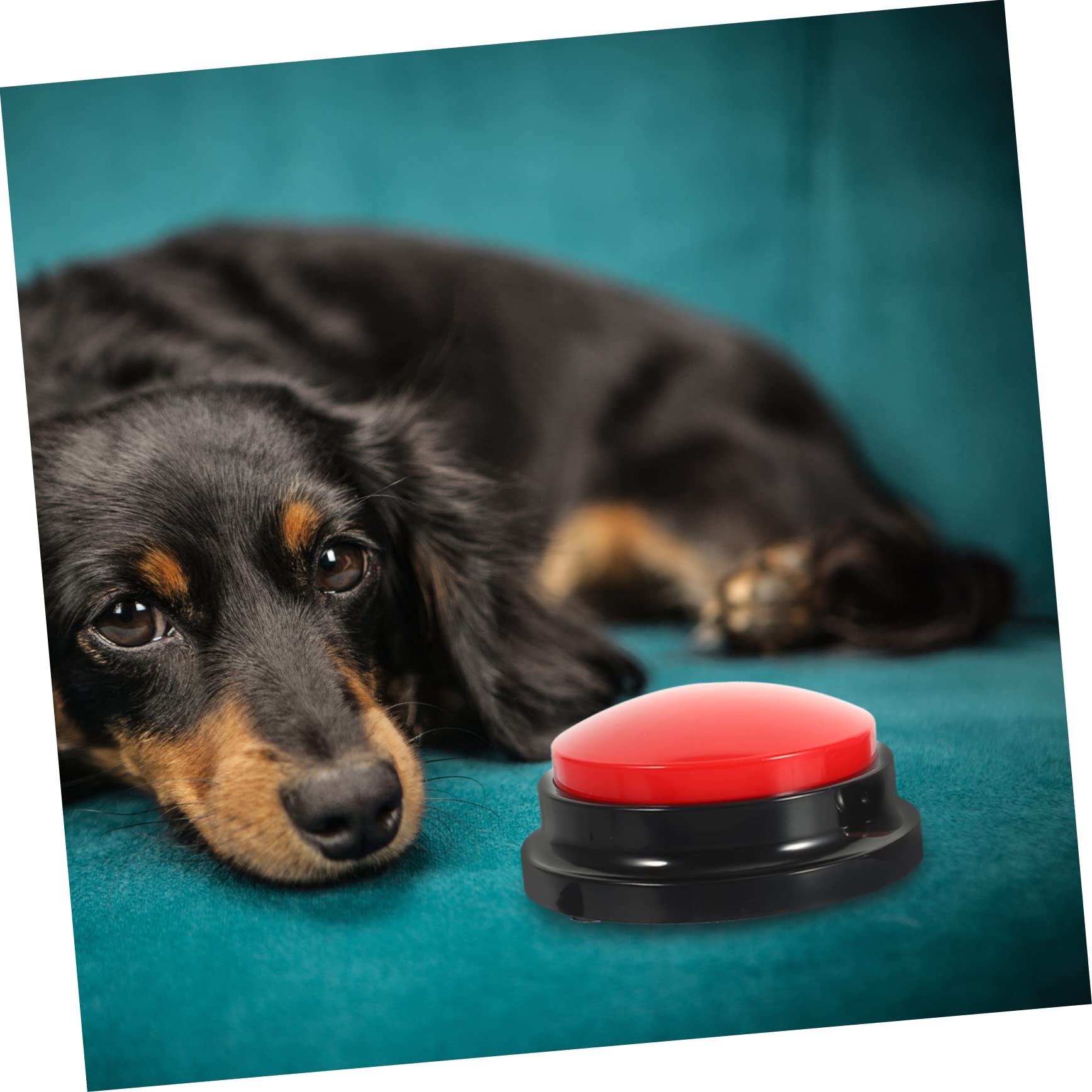 4piezas Botones Interactivos para Paquete De Botones Grabables para Comunicación y Gatos Juguete De Entrenamiento para El Aburrimiento y Comportamientos Destructivos Rojo y Rosa