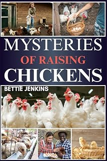 MYSTERIES OF RAISING CHICKENS