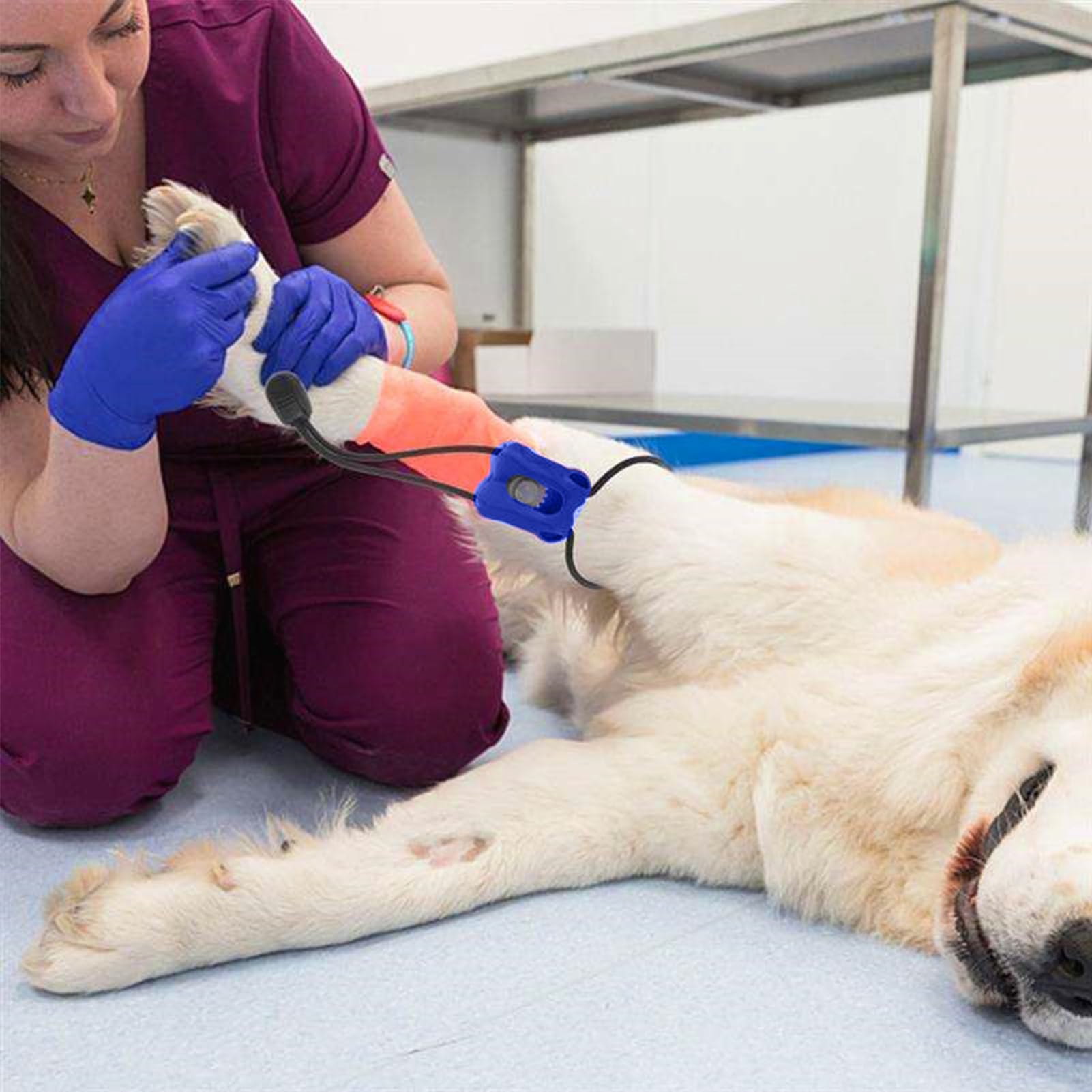 Kompressionsbandage für Tiere – traumatischer Notfallverband | sofortige Blutungskontrolle, tragbar, für Verletzungen, Reisen, Haus, Tierarzt, Tiere und Katzen