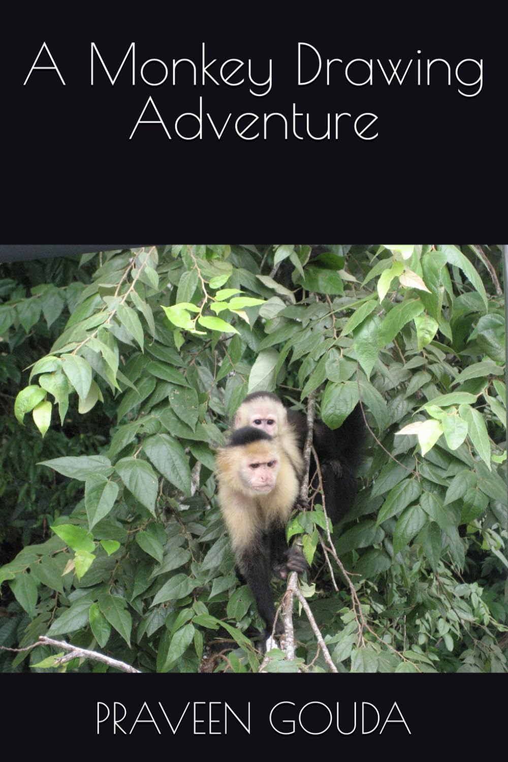 A Monkey Drawing Adventure