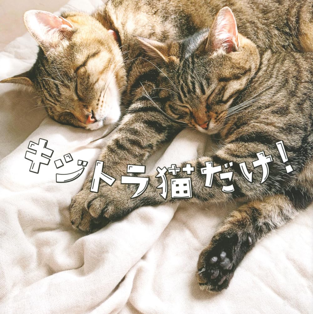 【直筆原画】大西洋介　眠る猫　キジトラ キジトラ猫のお昼寝姿がまるで液体…完全に『溶けている光景』に笑って 絵画
