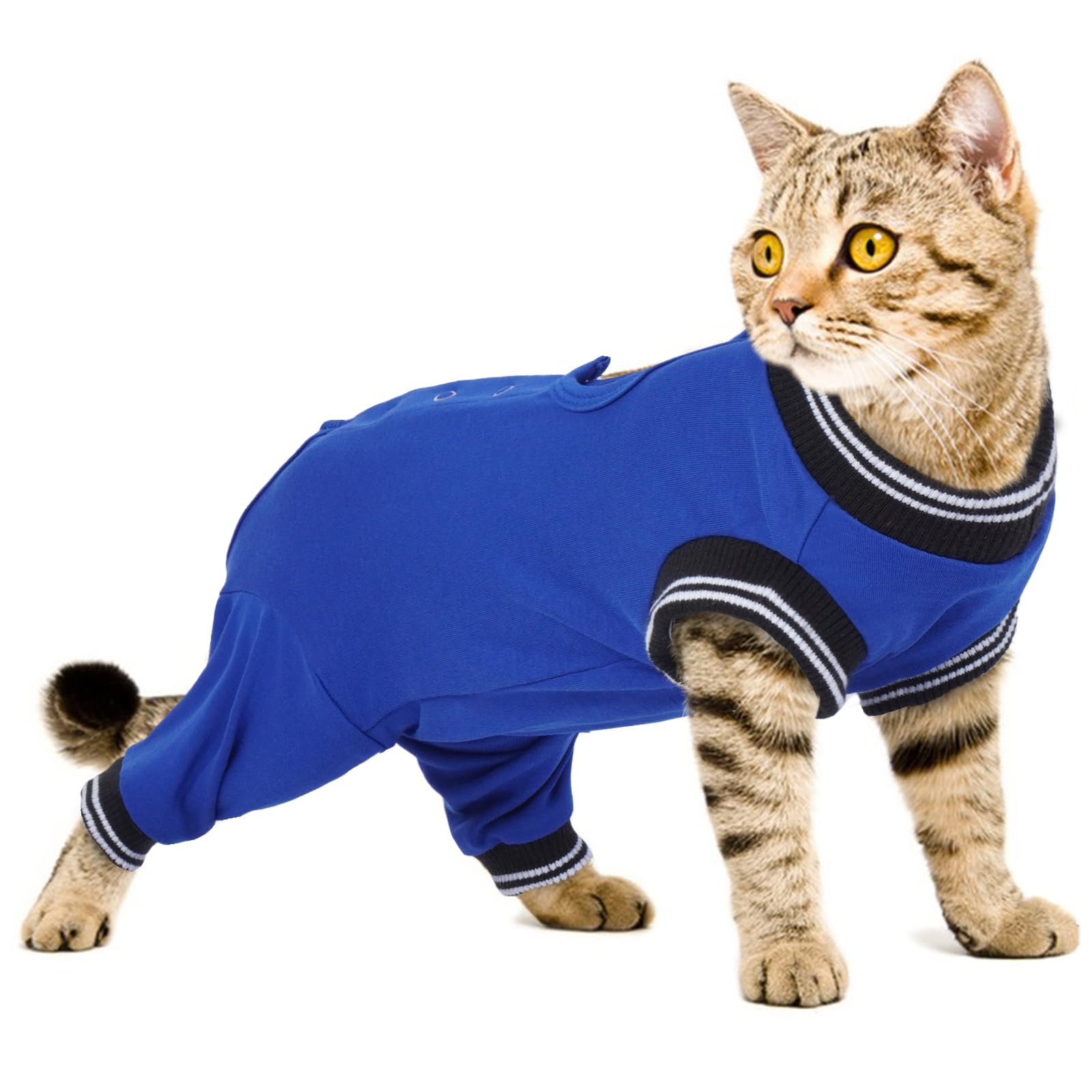 PUMYPOREITY Cat Body Suit after Surgery with Legs
