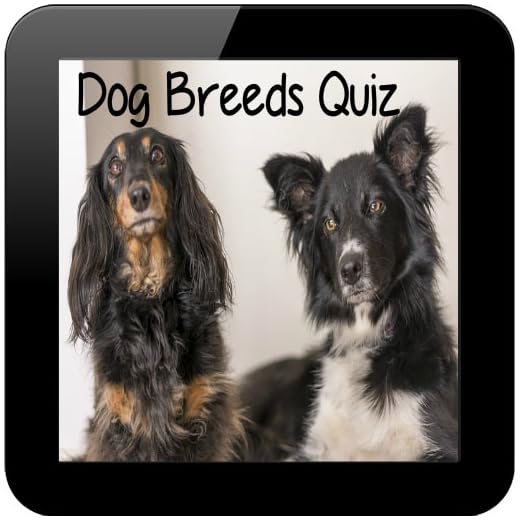 Dog Breeds Quiz