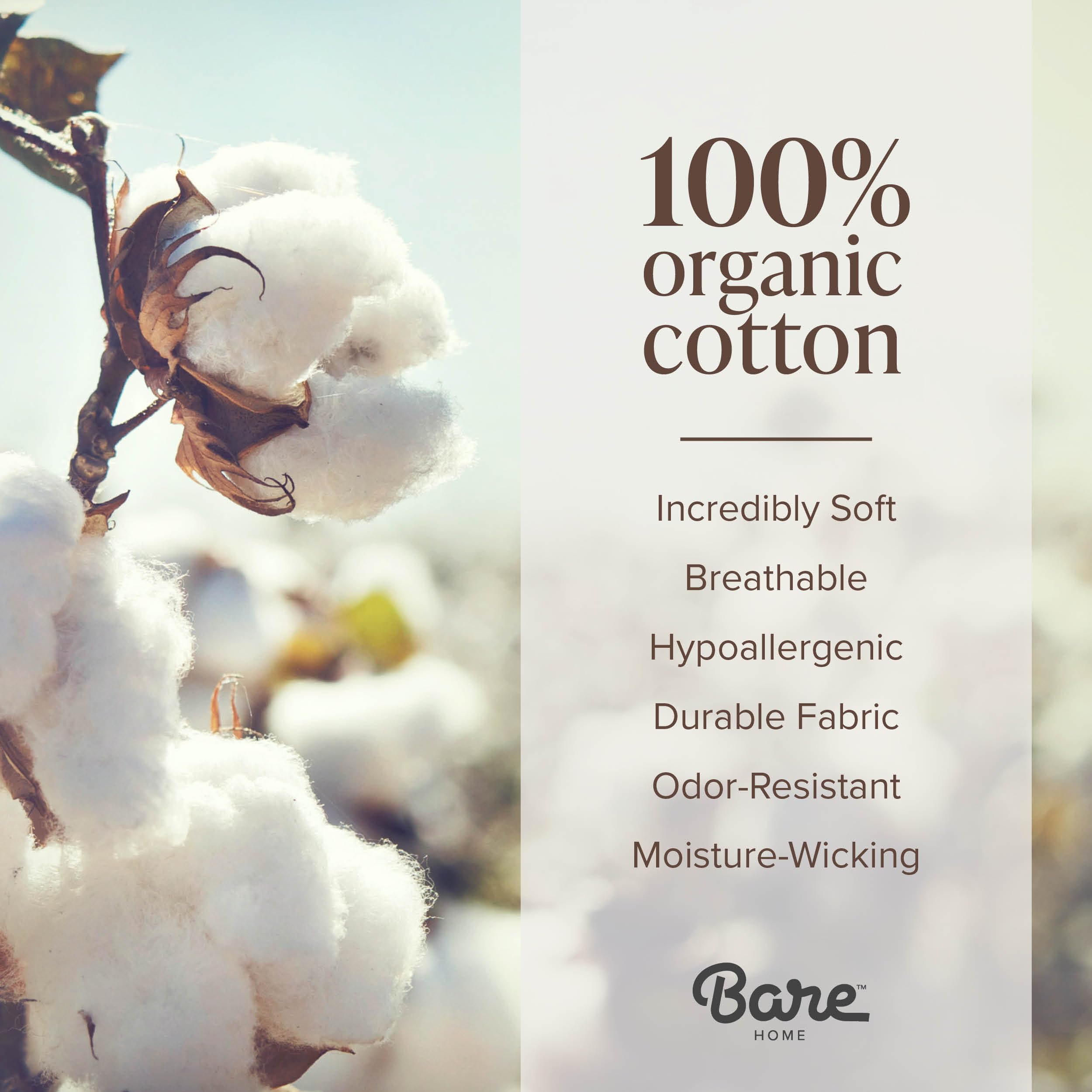 Bare Home 100% Organic Cotton Jersey Sheet Set Ultra Soft 100% Cotton - Sheet Set & Pillowcase - Deep Pocket Bed Sheets Twin White product thumbnail 6