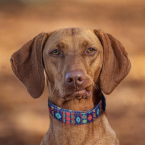 Miniatura 5 de QQPETS Collar de perro suave ajustable estampado de flores rosadas, multicolor, lindos patrones para mascotas, talla XS, pequeña, mediana y grande,