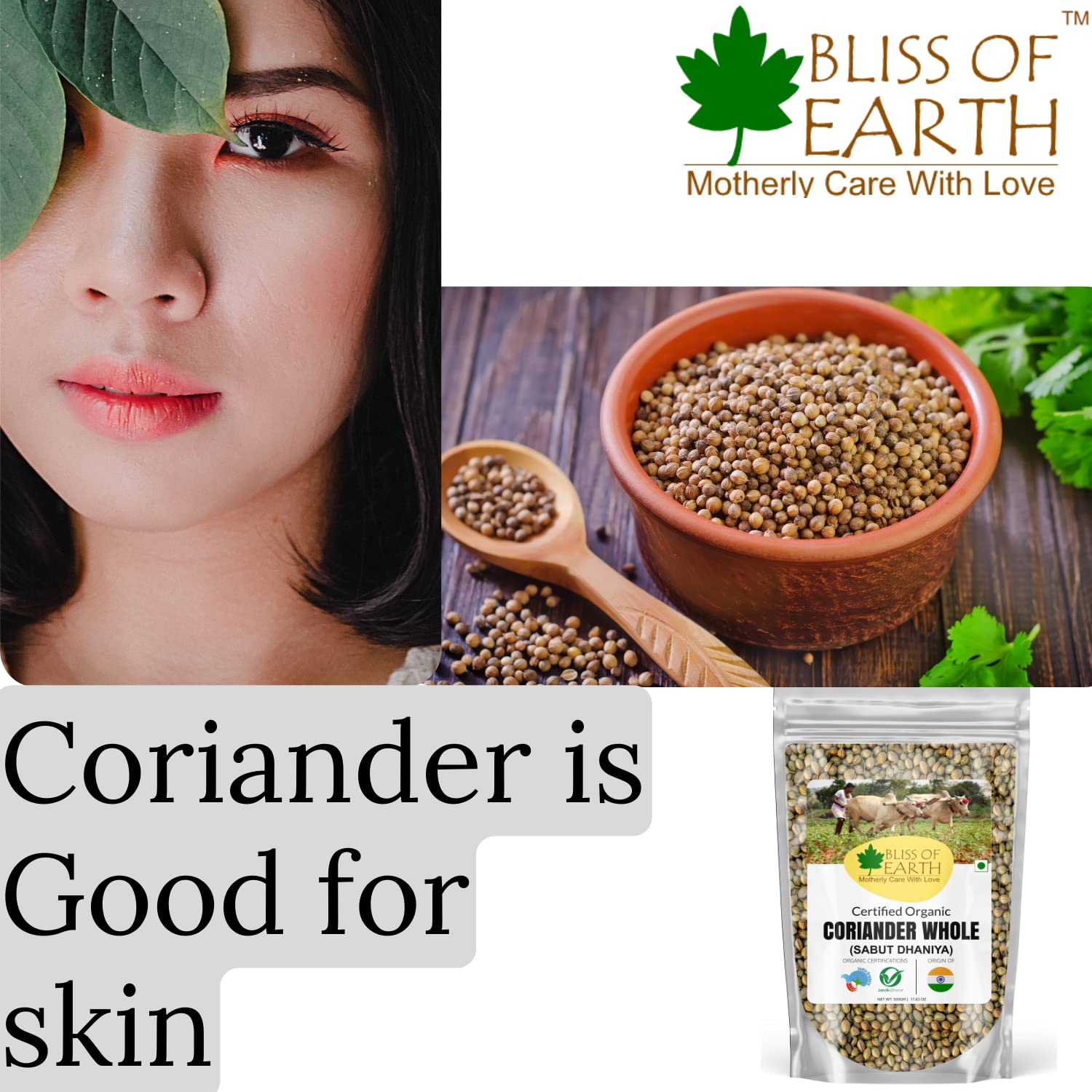 Bliss of Earth Vietnamese 200gm star anise + Indian 250gm coridander (Sabut Dhaniya) seeds for cooking - Image 5 thumbnail