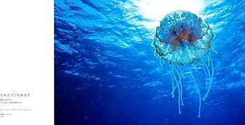 中村博、【地殻変動】、希少な額装用画集より、新品額装付、状態良好 陶額 DB額（角小）二雀図 / 中村陶志人 - 和食器の通販なら九谷焼専門