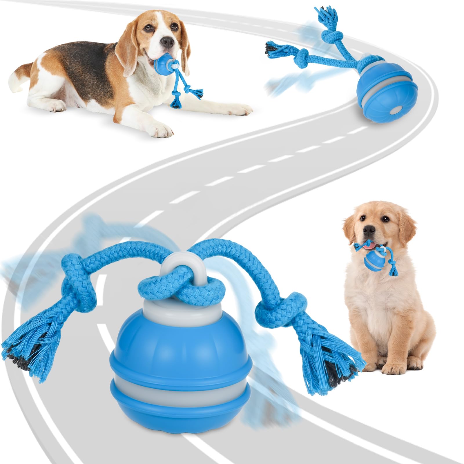Balle interactive automatique pour chien bleu avec 3 modes et chant d'oiseau