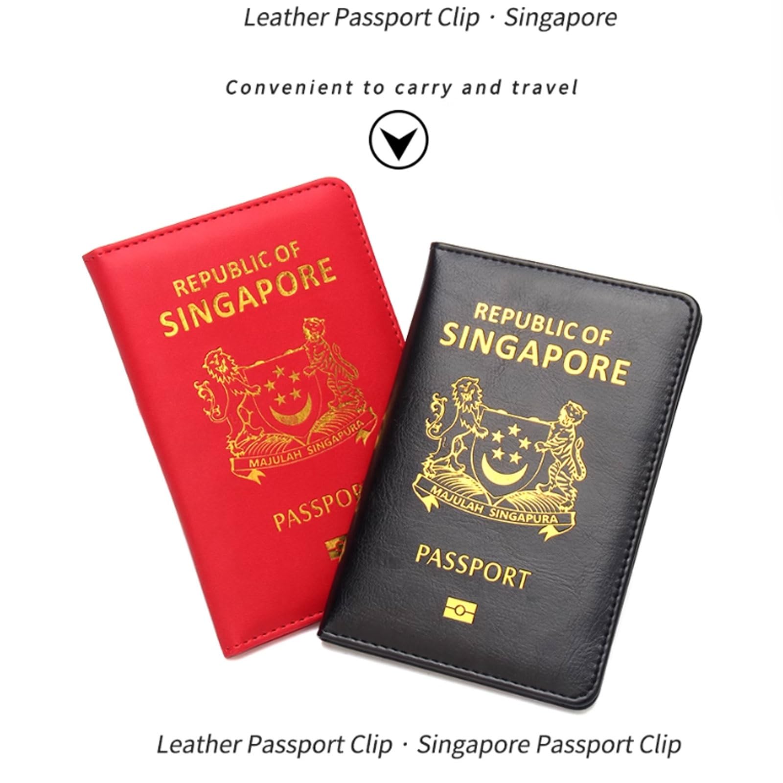 Singapore Custodia protettiva per passaporto, unisex, design compatto, nero, One Size, Stile unico