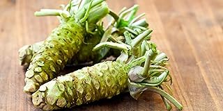 100pcs Wasabi Seeds Planted in Garden Courtyard Vegetables Strong Adaptability Create Unique Artistic Landscape Loved by People Strong Adaptability