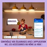 Lampadina WiZ Smart LED A60, bianco Regolabile e a colori, attacco E27, equivalente 100 W, 2.200-6.500 K, 1.521 lumen, int. regolabile, compatibile con Alexa,Google Assistant e Apple HomeKit,conf.da 1 - 8