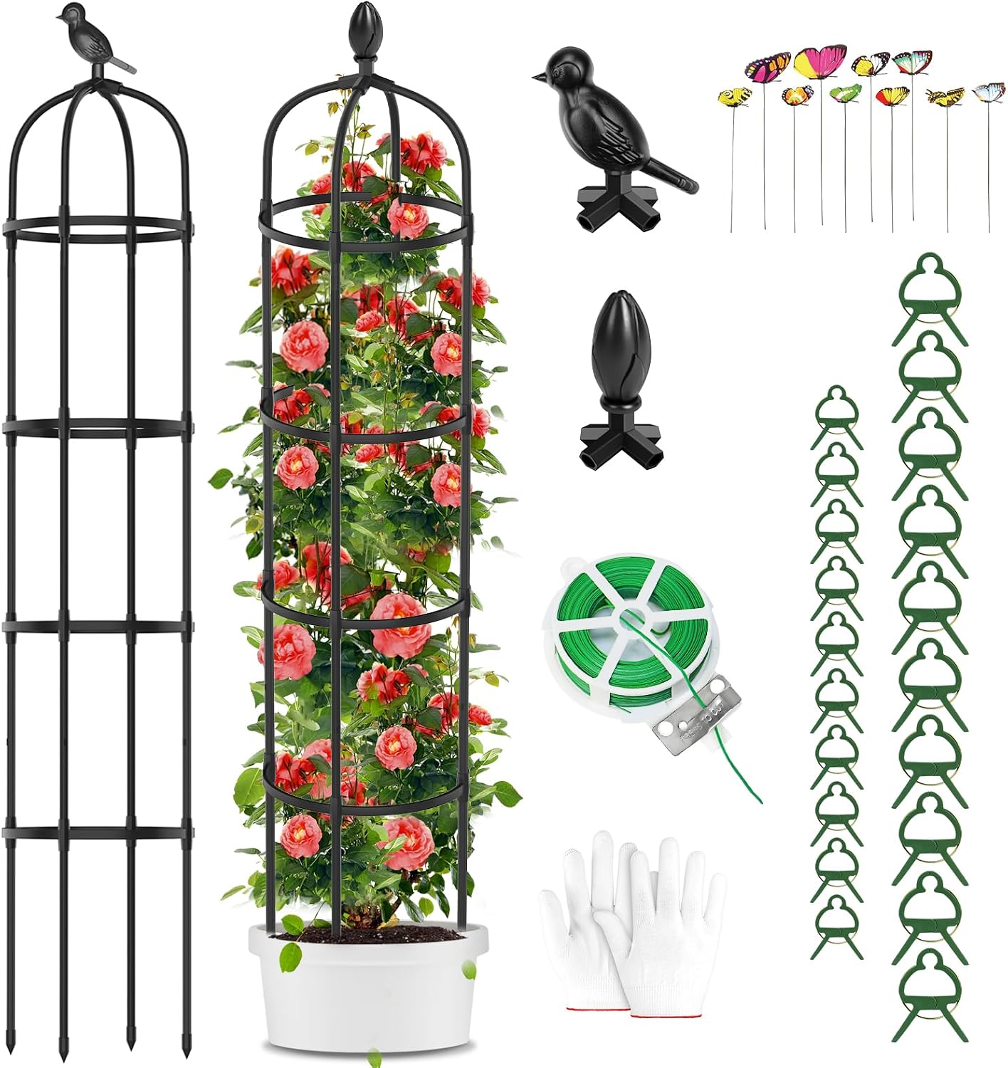 Trellis for Climbing Plants