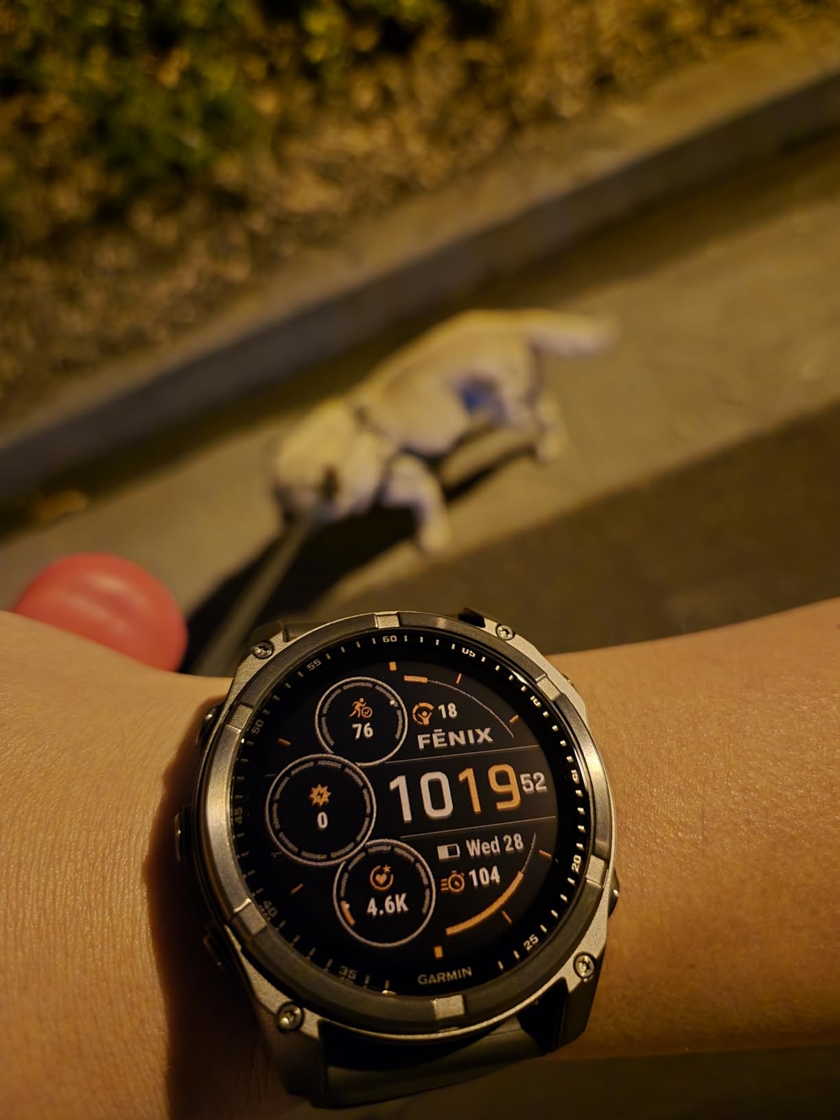 Garmin Fenix 8 Profile Display and Premium Finish View
