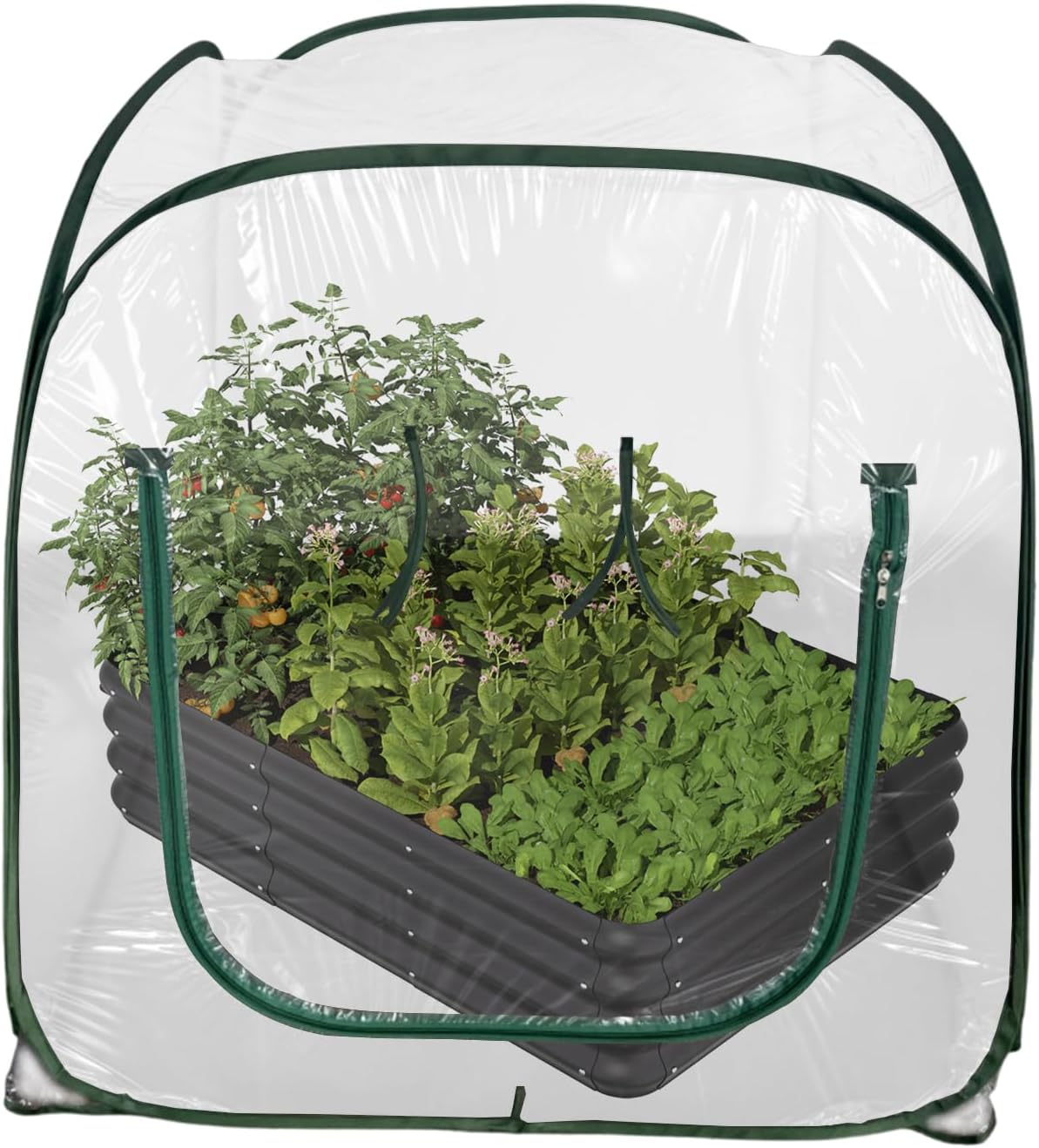 Outdoor Mini Greenhouse - Clear Foldable Plant Grow Tent, Small Greenhouse for Gardening Flowerpot Use, Transparent PVC Cover Material, Cold Frost Freeze Protection Shelter, Patio Balcony Backyard Flo