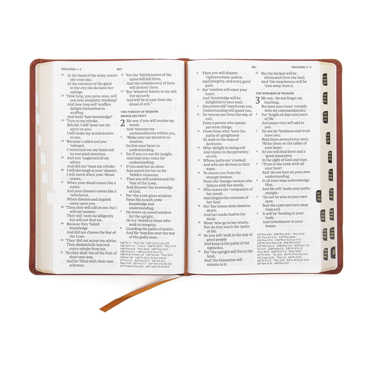 NASB Super Giant Print Reference Bible, Burnt Sienna LeatherTouch, Indexed
