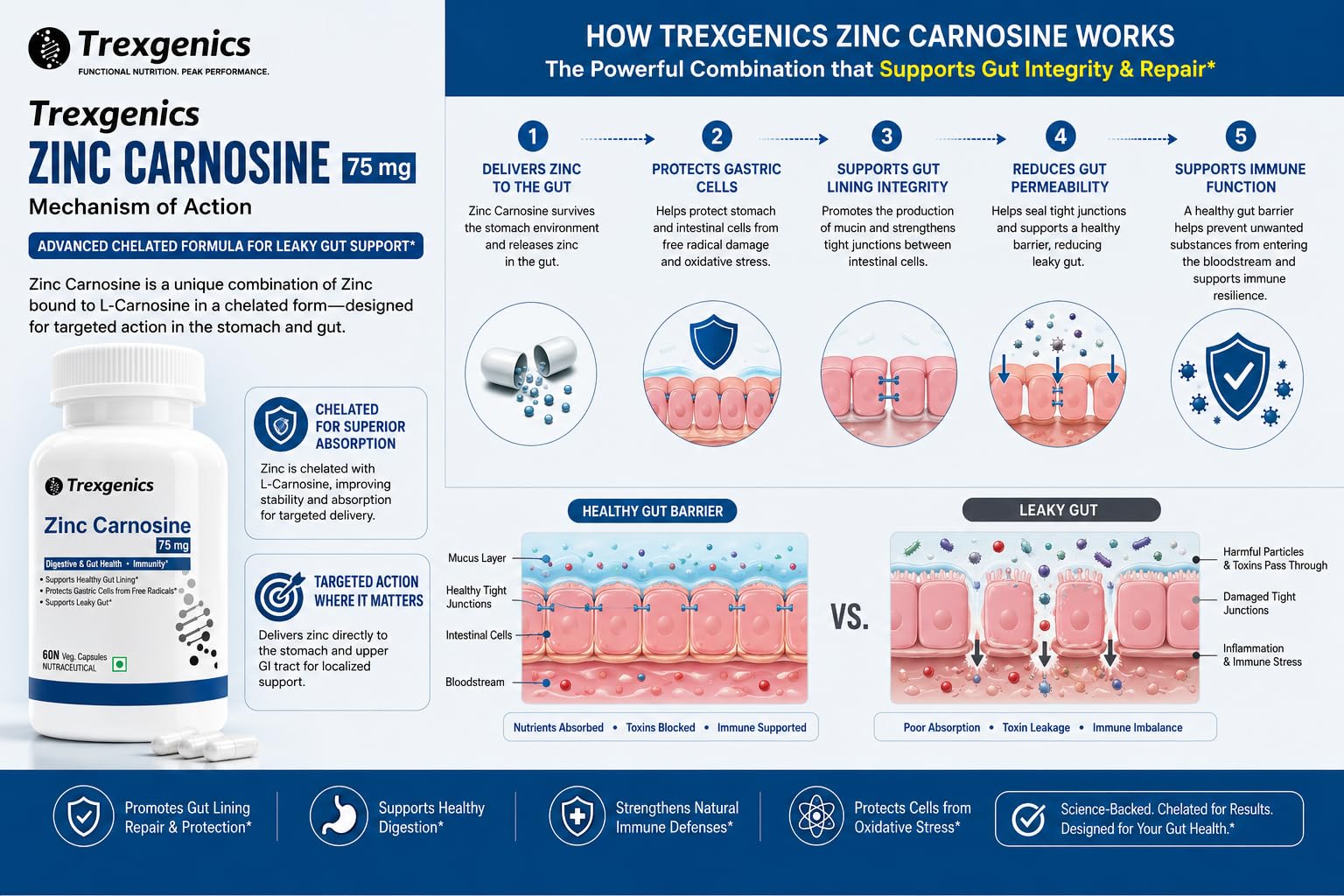 Trexgenics ZINC CARNOSINE Digestive & Gut Health, Ulcer Care, Immunity, Leaky Gut Support (60 Veg Capsules) — Amazon image 5