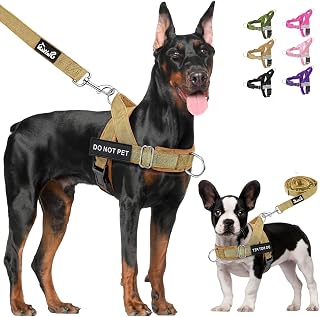 Lukovee No Pull Dog Harness & Leash Set - Heavy Duty Dog Vest Harness with Soft Padded for Medium Large Dogs, Adjustable Reflective Tactical Pet Harness for Easy Walk and Training (M, Yellow)